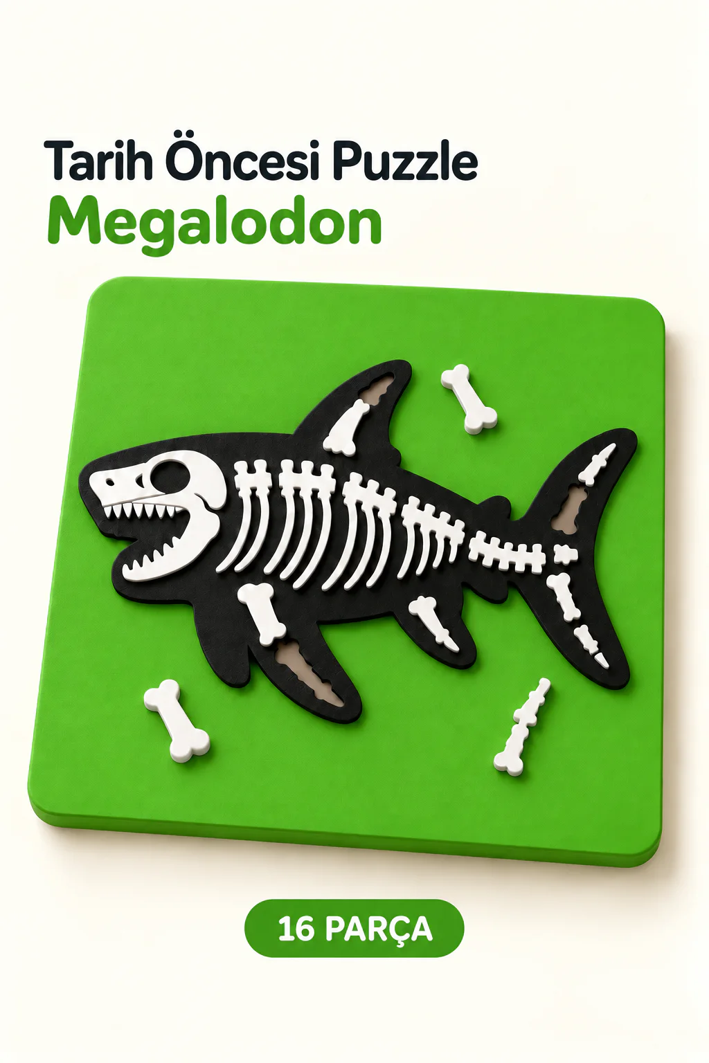 Megalodon 16 parçalı tarih öncesi puzzle, yeşil zemin ve iskelet parçaları